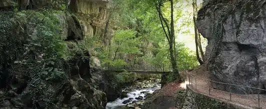 agence matrimoniale Bienne grotte du taubenloch